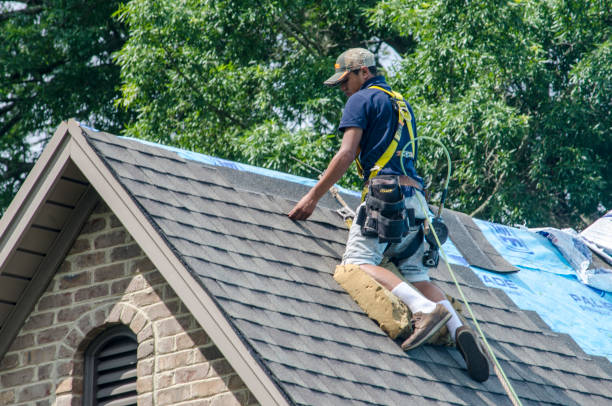 Best Storm Damage Roof Repair  in Verona, WI